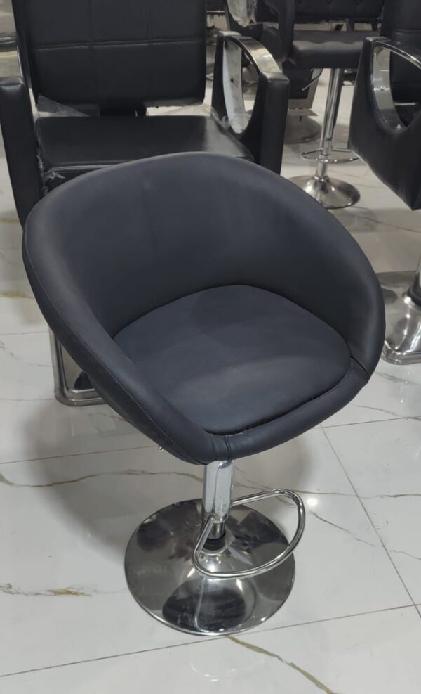 Adjustable Salon Bar Stool (Back Support)