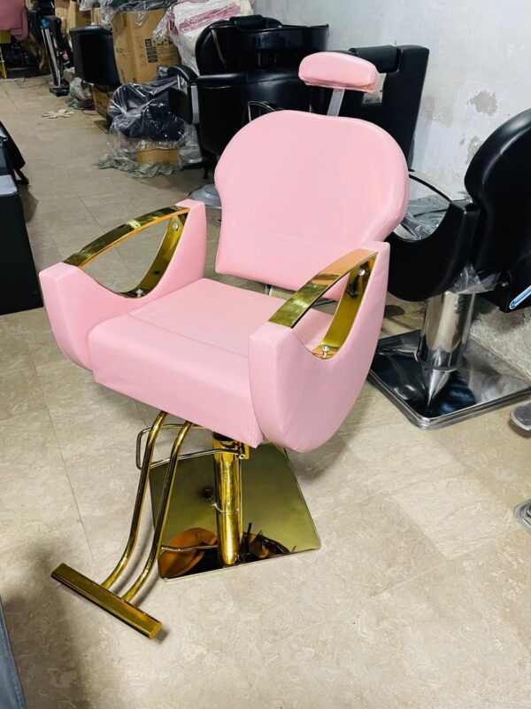 The Blush Pink & Gold Boutique Chair